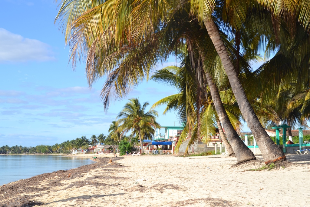 The coast in the Playa Larga and Bay of Pigs part of the original Cuba beach journal.